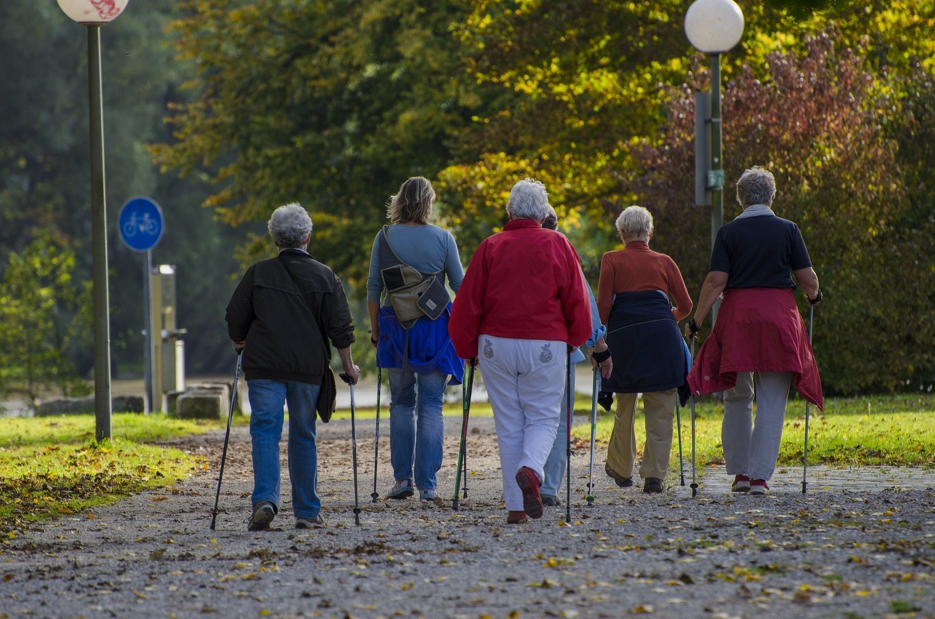 Mit Schwung in die Woche - Nordic-Walking - Gemeinsam in der Natur unterwegs